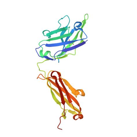 RCSB PDB 2AJ3 Crystal Structure Of A Cross Reactive HIV 1