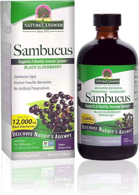 Nature S Answer Alcohol Free Sambucus Black Elderberry Extract High