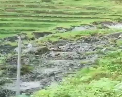 Viral Sawah Digulung Lumpur Di Ponorogo Viral Di Media Sosial