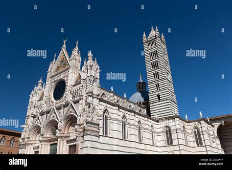 Cattedrale Metropolitana Di Santa Maria Assunta Siena Immagini E