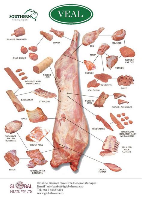 Veal Illustration Nel 2024 Carne