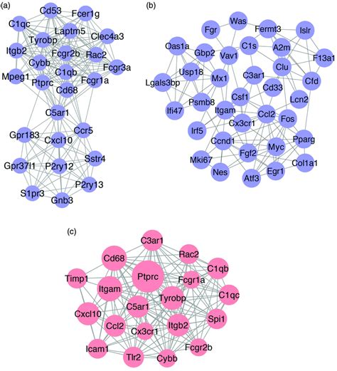 Protein Protein Interaction Ppi Network Analysis A B Top Two