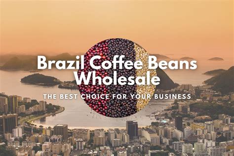 Brazil Coffee Beans Wholesale: The Best Choice for Your Business ...