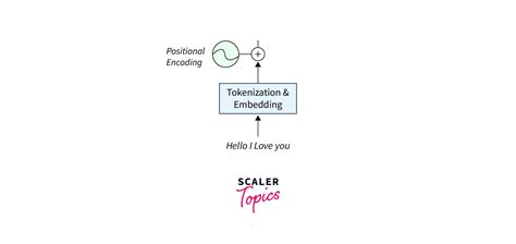 Transformers In NLP Scaler Topics