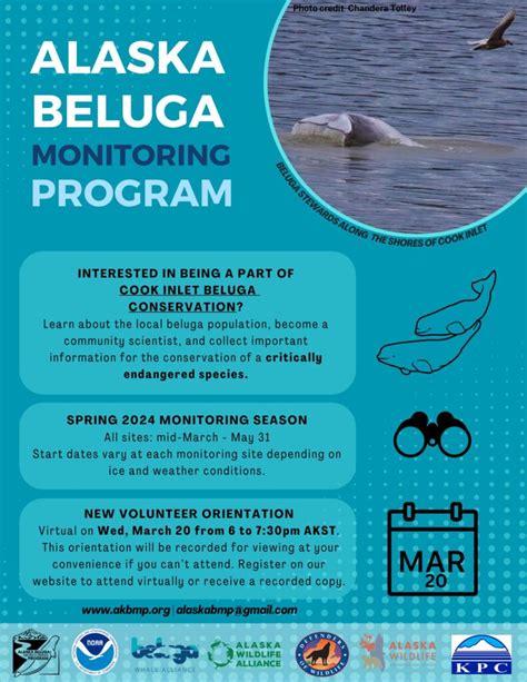 Beluga Monitoring Spring Orientation - Alaska Wildlife Conservation Center