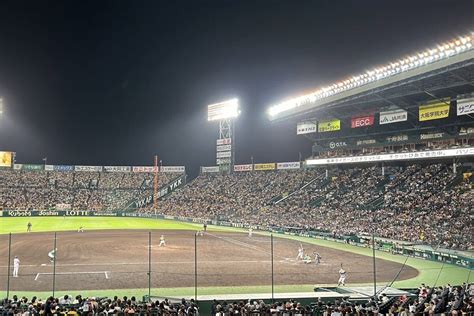 Yahooオークション 7月28日日阪神タイガースvs中日 甲子園球場チ