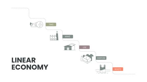 Het Vector Infographic Diagram Van Het Lineaire Economieconcept Heeft