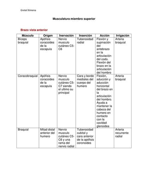 Resúmenes de Músculos del Antebrazo Descarga apuntes de Músculos del