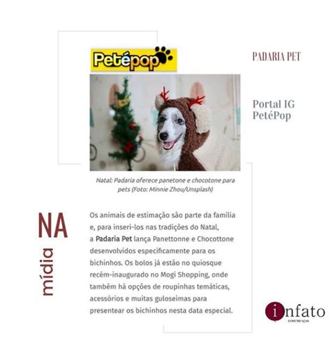 Padaria Pet No Portal Ig Dezembro Infato Comunica O