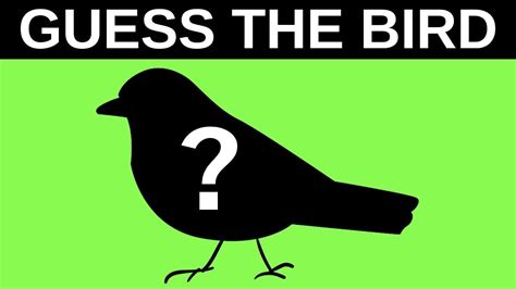 Guess The Bird Quiz Can You Guess The Birds Shadow Bird Quiz