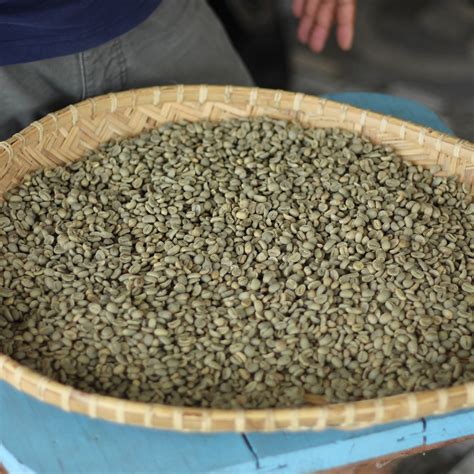 Gayo Aceh Arabica Coffee Full Wash Kg Raw Coffee Beans Green Bean