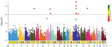 Tools Manhattan Plot GWAS Atlas NGDC CNCB