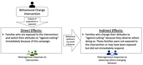 The Direct And Indirect Effect Of An Intervention Adapted From