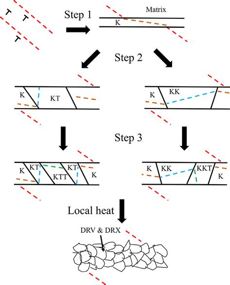 Schematic Diagram Showing The Evolution Of Deformation Kink Bands