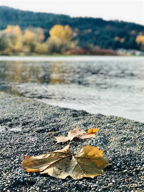 Lake Sammamish State Park - Issaquah, United States