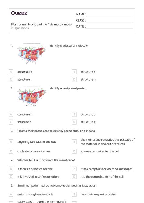 Membranes And Transport Worksheets For Th Year On Quizizz Free