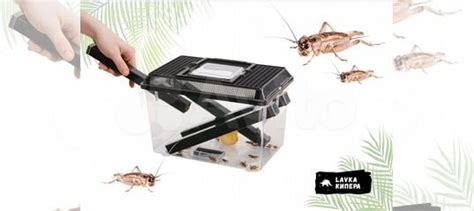 Контейнер для сверчков Exo Terra Cricket Pen купить в Москве | Животные ...