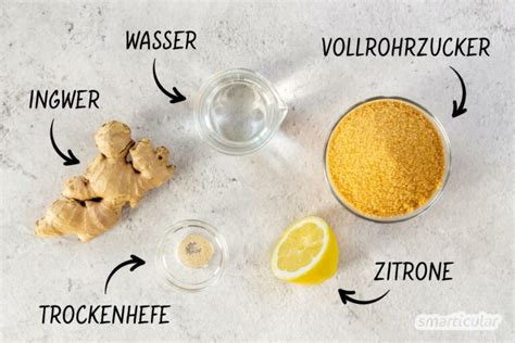 Ginger Beer Rezept Ingwerbier Selber Machen Smarticular