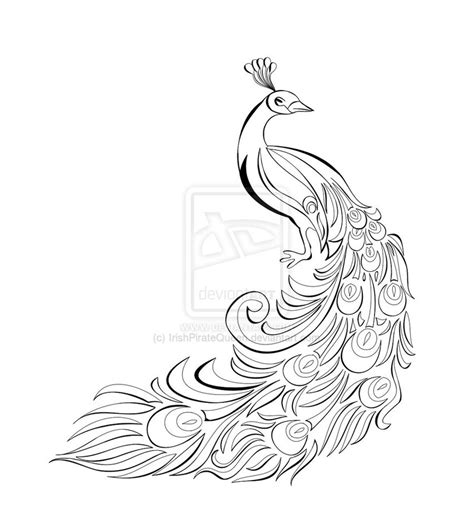 Peacock Drawing Black And White At Getdrawings Free Download