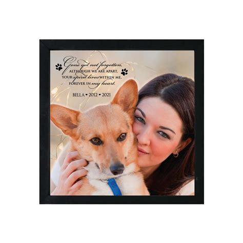 Pet Memorial Frame Pet Memorial Plaques Paw Print Frame Dayspring