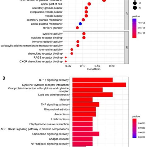 Functional Enrichment Analysis Of The Degs A Gene Ontology Go