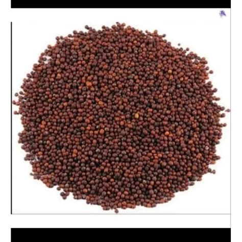 Jual Black Mustard Seeds Biji Sawi Hitam Biji Sawo Hitam G