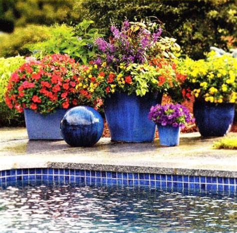 Plants Around Pool Pool Plants Planters Around Pool