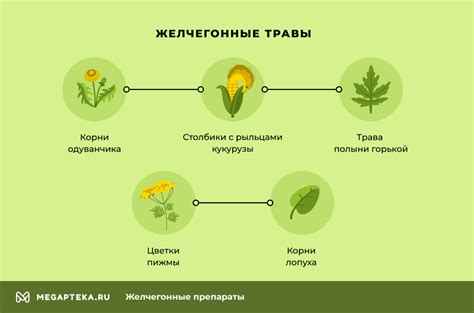Желчегонные препараты и травы, при перегибе желчевыводящих путей