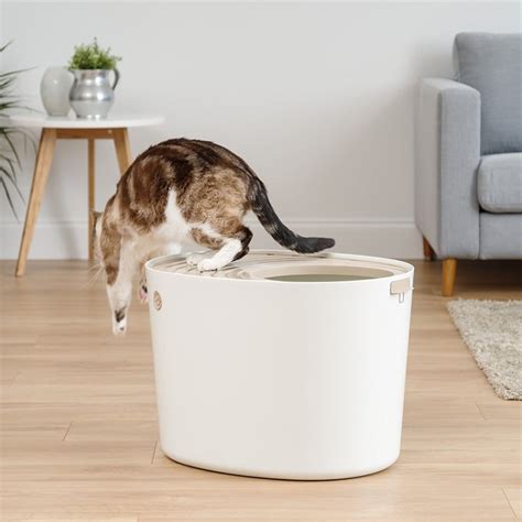 The Best Cat Litter Box Is A Top Entry Litter Box