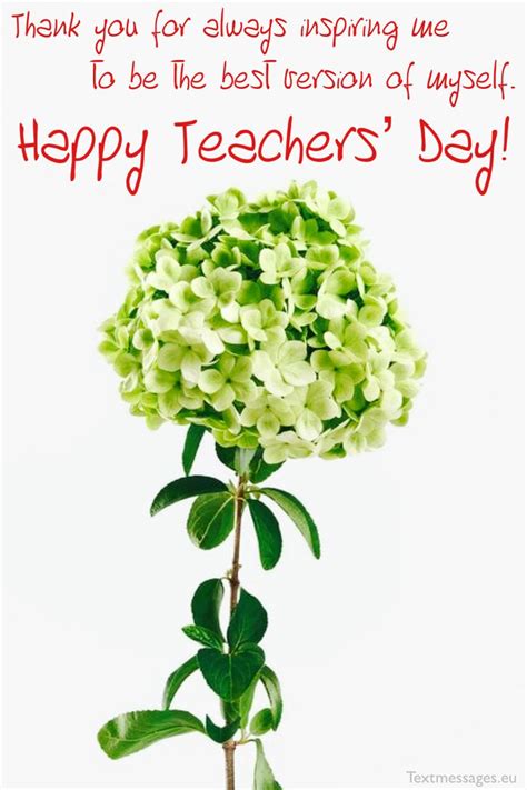 Top 35 Happy Teachers Day Messages Cards And Appreciation Quotes For