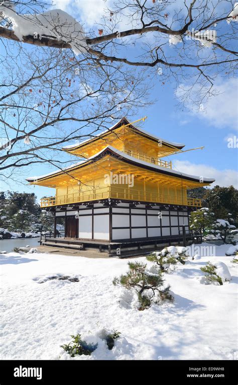 Kinkakuji Golden Temple Golden Pavilion In Kyoto Japan With A