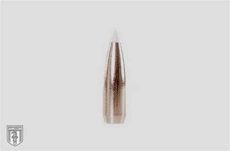 Nosler Accubond Ammo At Ammo Accubond Explained