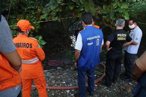 Exame De Dna Ratifica Que Restos Mortais Eram De Piloto Mineiro O Que