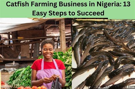 How To Start Foodstuff Business In Nigeria Earn ₦1m Monthly