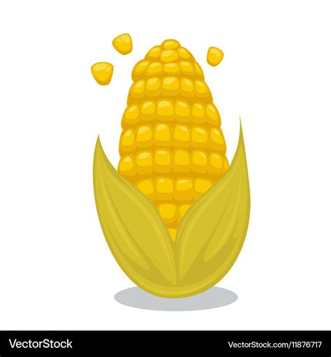 Ripe corn on the cob Cartoon Royalty Free Vector Image