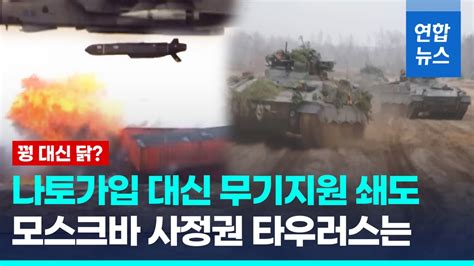 영상 나토 우크라에 추가 무기지원크림반도 때린 스텔스 미사일도 연합뉴스