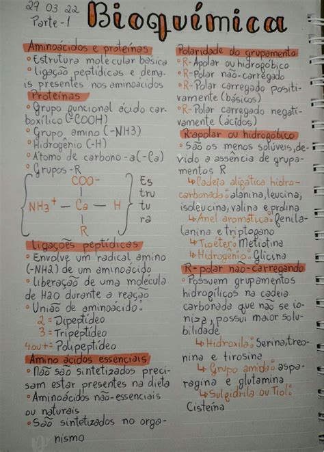 Solution Resumo De Prote Nas E Amino Cidos Introdu O A Bioqu Mica