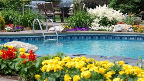 15 Swimming Pool Landscaping Ideas Forbes Home