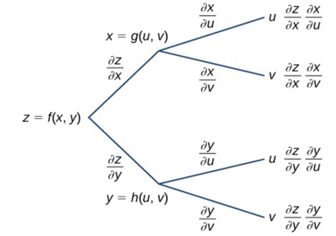 Section 3 5 Chain Rules Multivariable Calculus