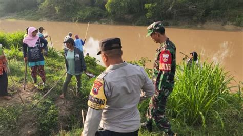 Cegah Gagal Panen Tni Polri Bersama Petani Di Purwodadi Berburu Tikus