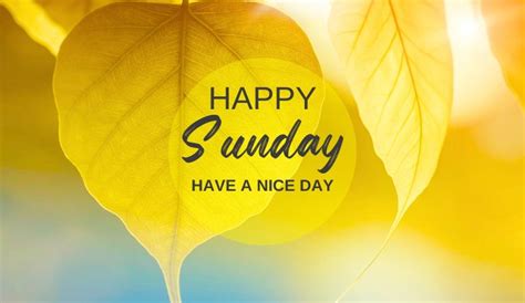 100 Happy Sunday Wishes Messages And Quotes