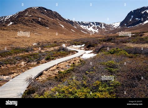 Tablelands Trail, Gros Morne National Park, near Woody Point ...