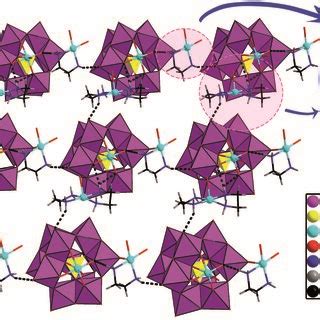 The D Supramolecular Homochiral Network In D The Hydrogen Bonding