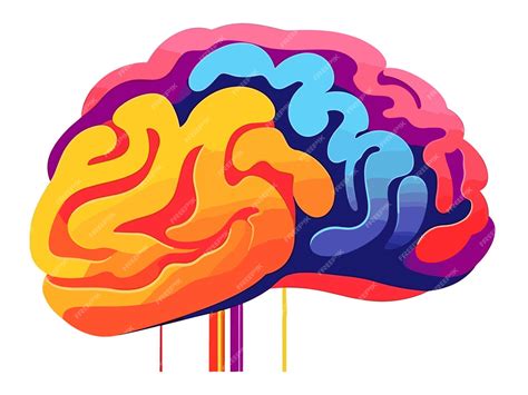 Premium Vector Brain Illustration On White Transparent Background