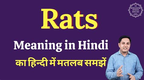 Rats Meaning In Hindi Rats Ka Matlab Kya Hota Hai English