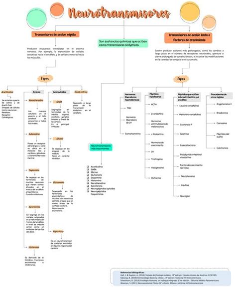 Mapa Conceptual De Neurotransmisores UDocz