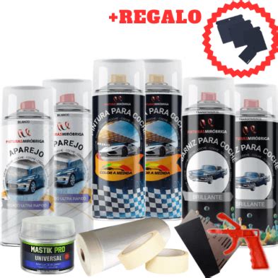 Kit Perfecto Para Pintar Coche Con Spray Oferta Mirobriga