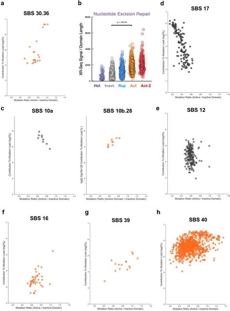 Patterns Of Mutational Distributions By Individual Mutational