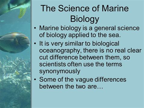 Biological Oceanography