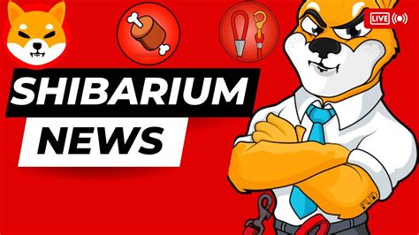 Shibarium Update Shibarium Twitter Give Update On Beta Launch Youtube